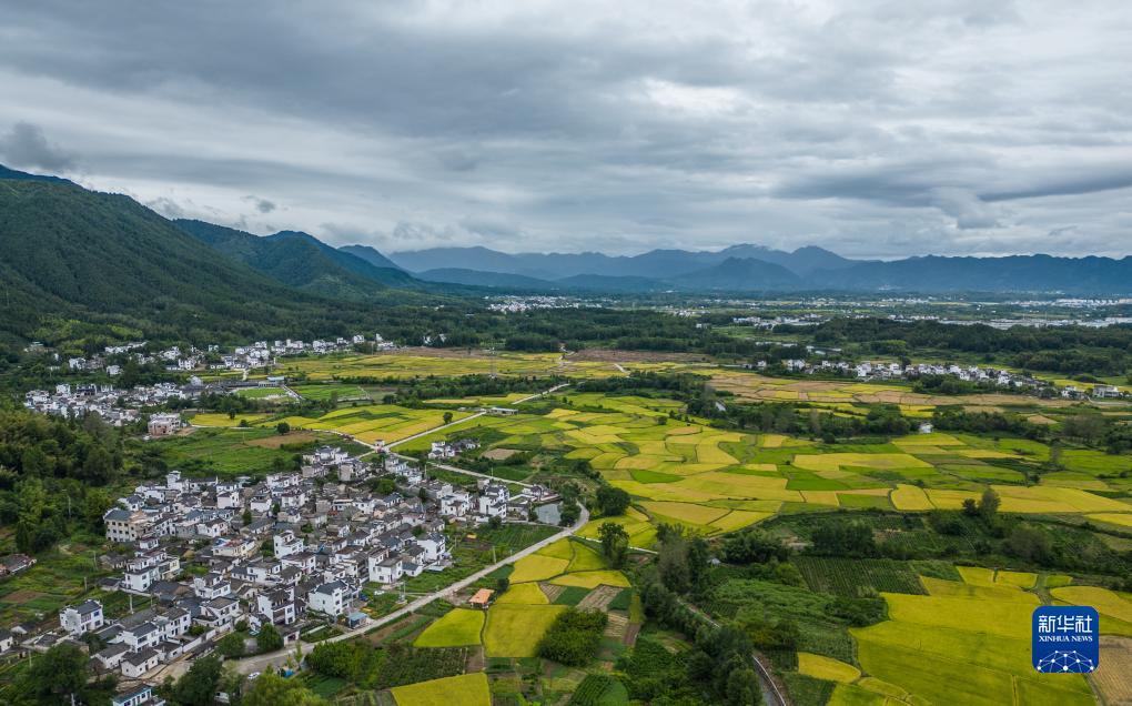 老虎机pt